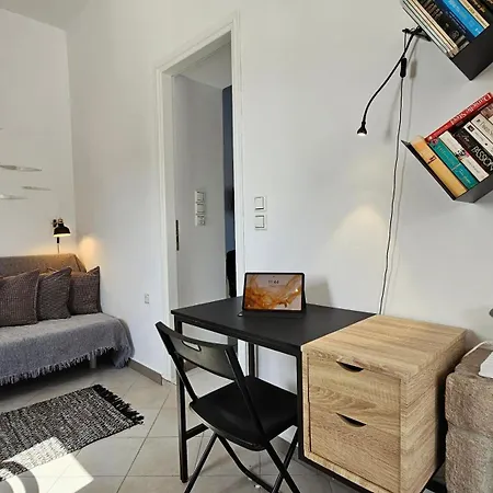 Olive In Blue 아다마스