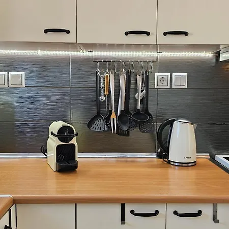 Olive In Blue * 아다마스