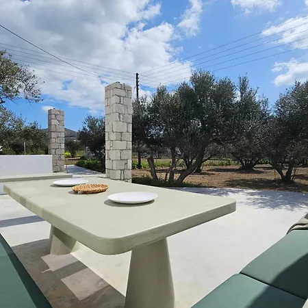 Olive In Blue 아다마스