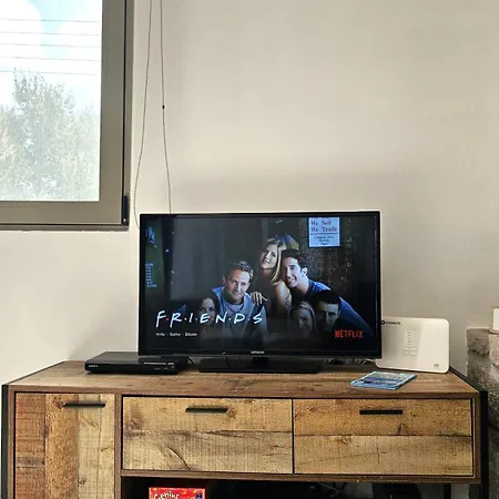 Olive In Blue * 아다마스