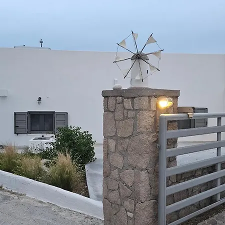 Olive In Blue * 아다마스